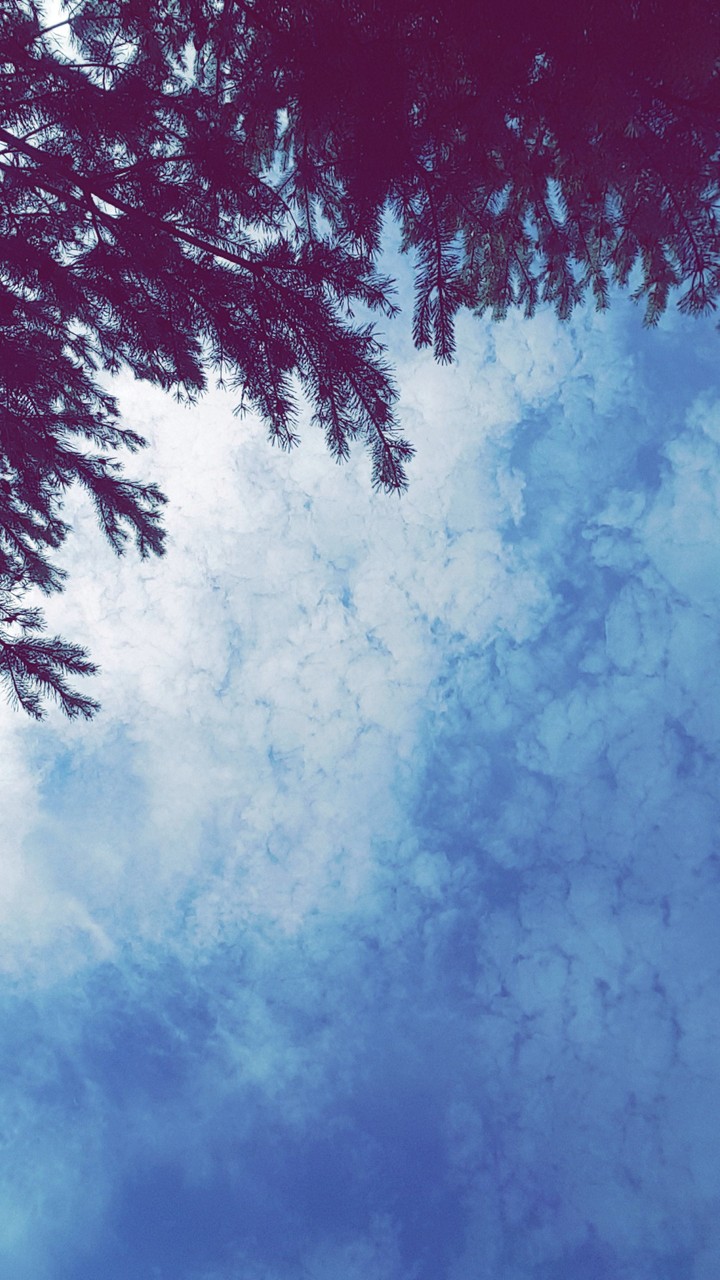 sky