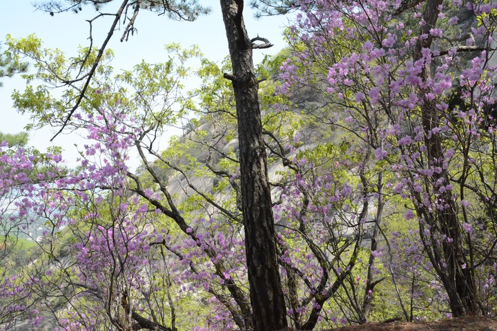 수락산이미지