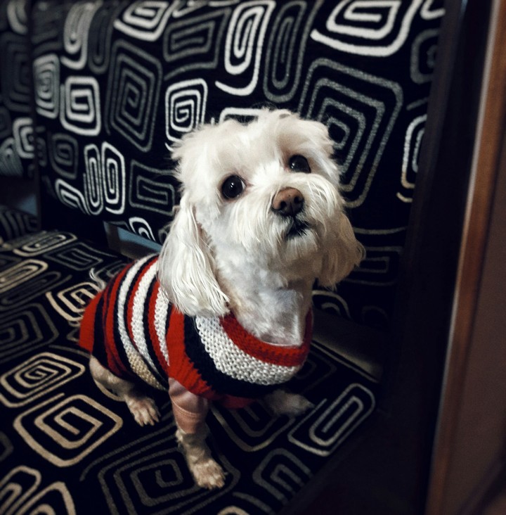My Richy