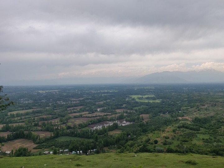 Valley of trees