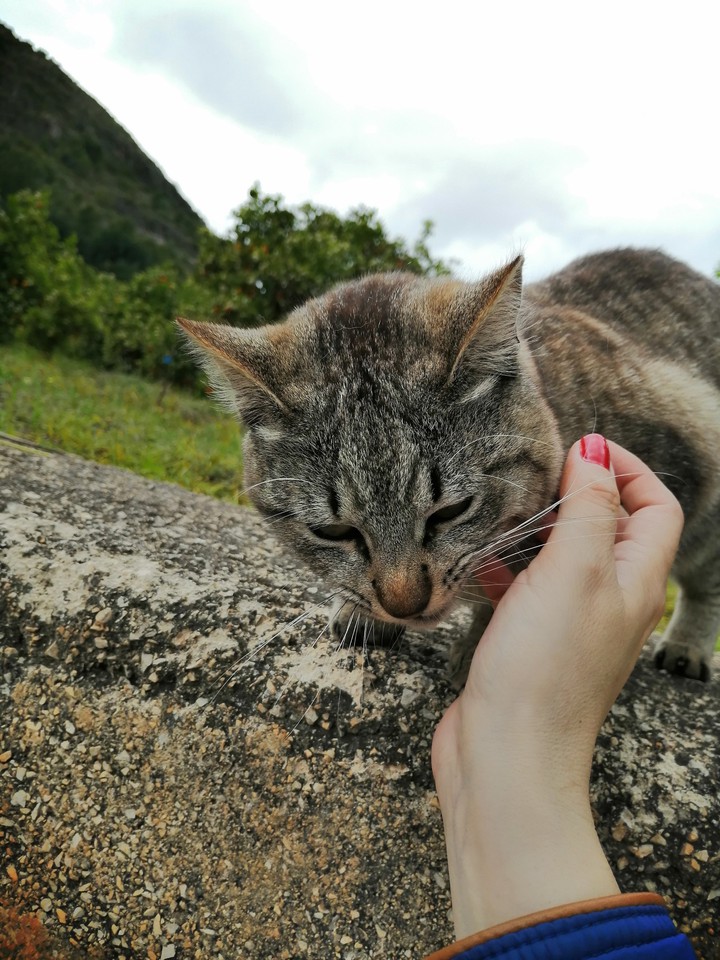 #Taby