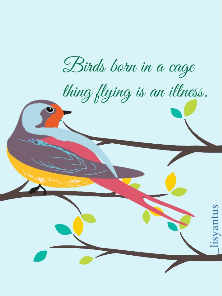 bird