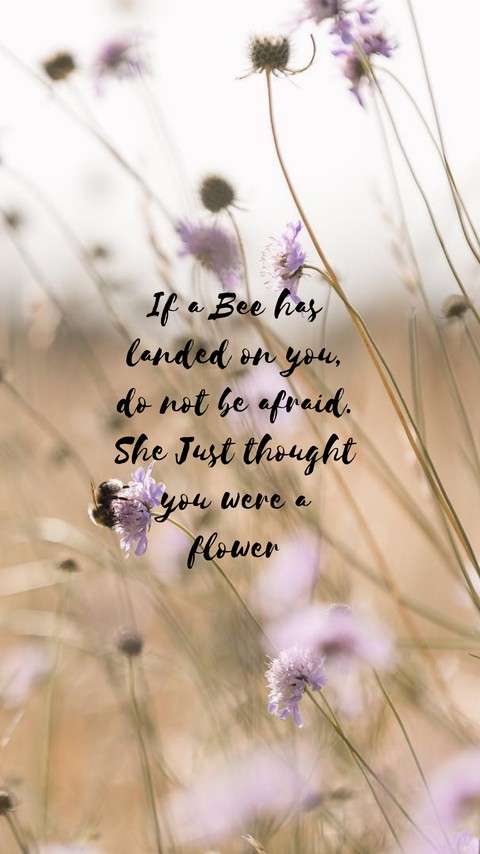 Quote