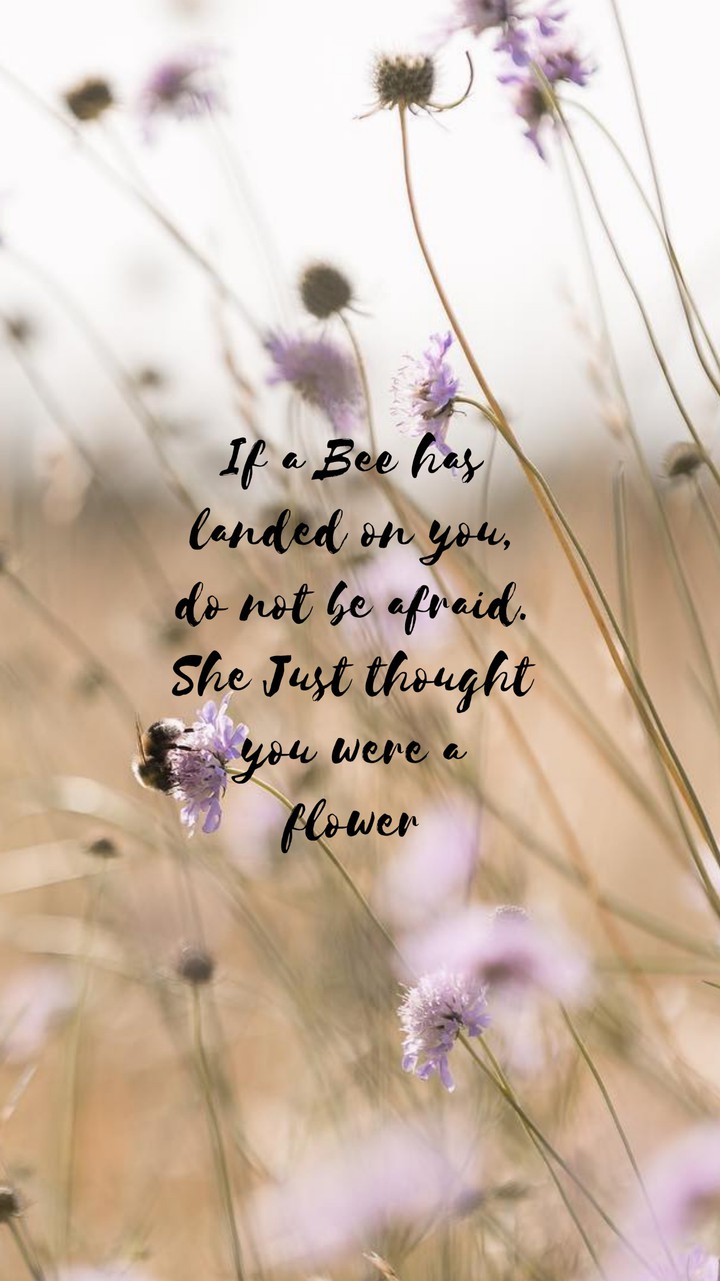 Quote
