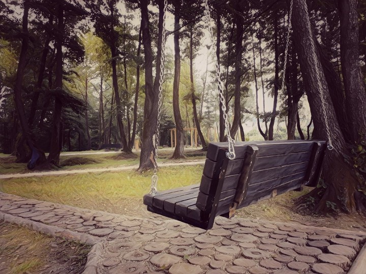 A lonley love bench