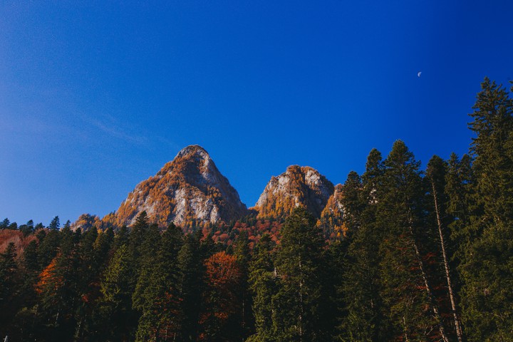 Autumn paradise