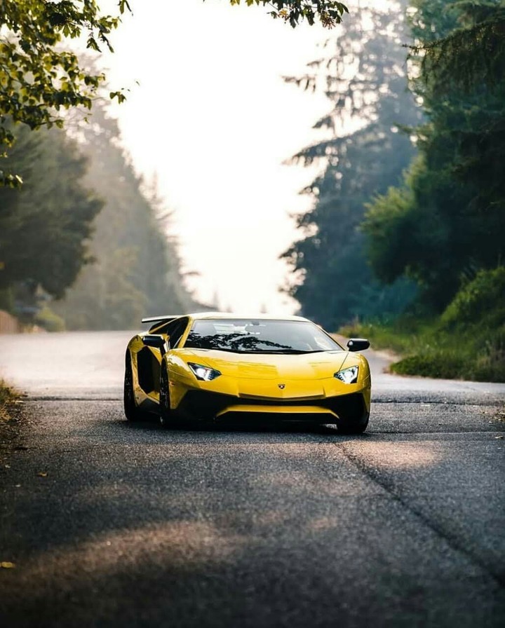Lamborghini