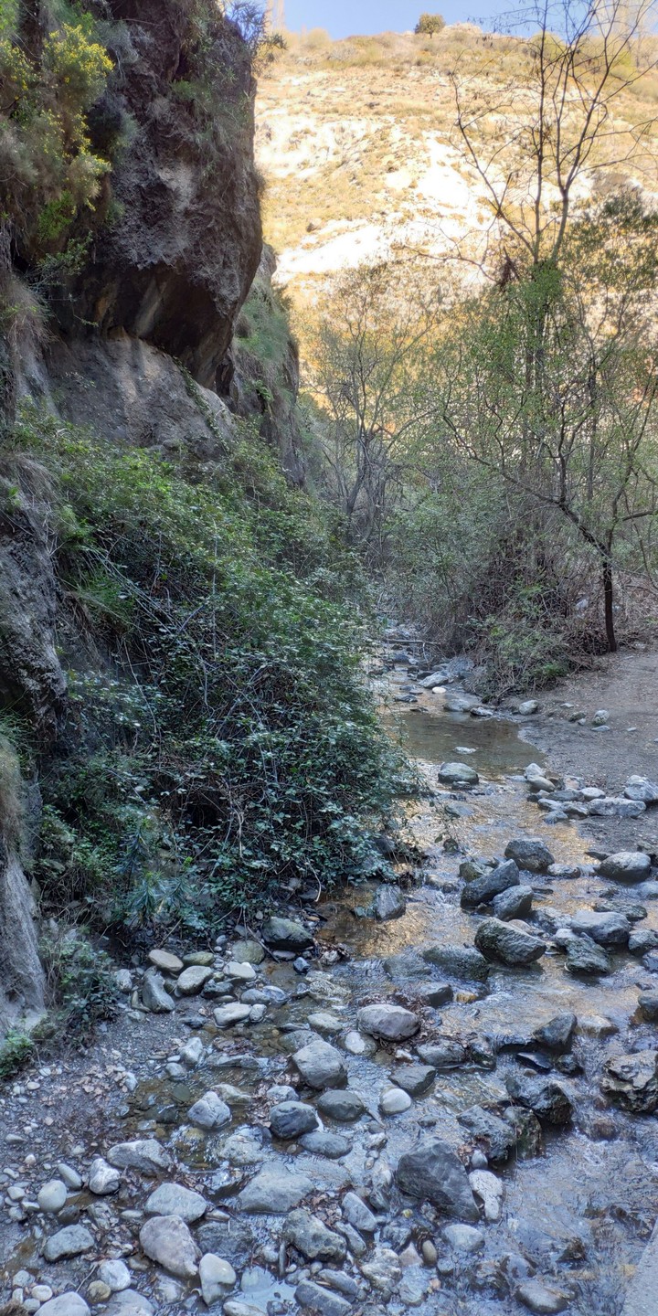 Peace in Nature