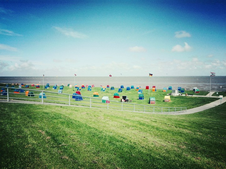 next to the Elbe