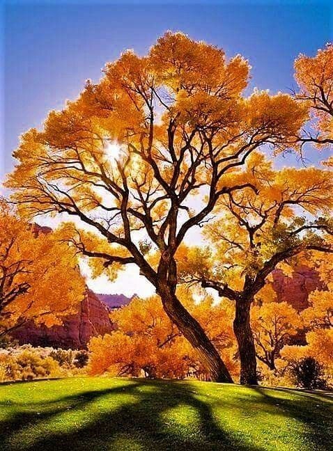 natural scenery