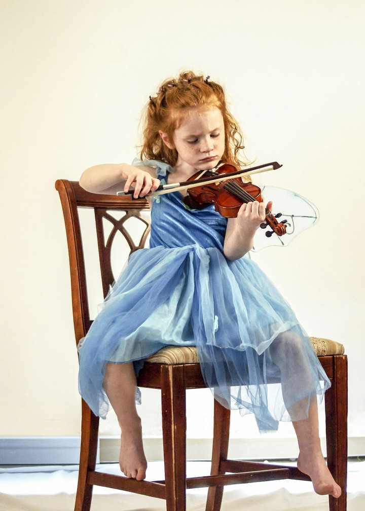 Violino