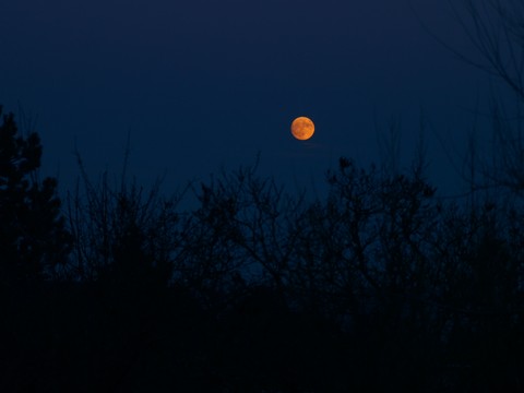 moon