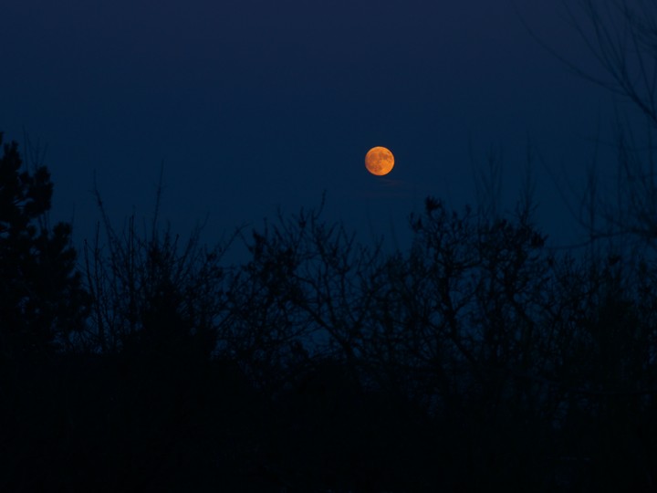 moon