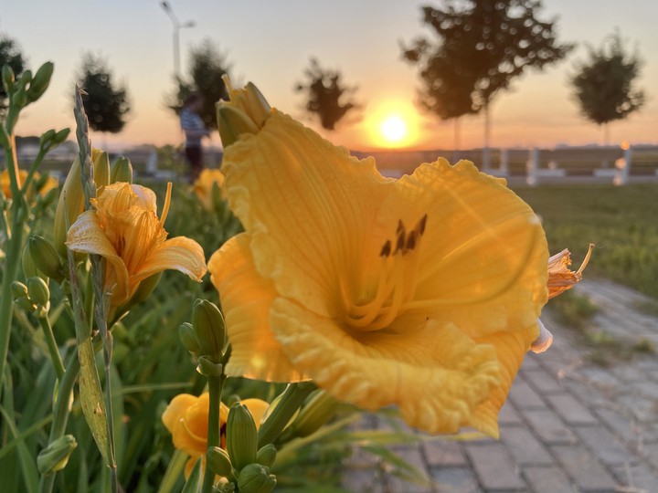 На закате