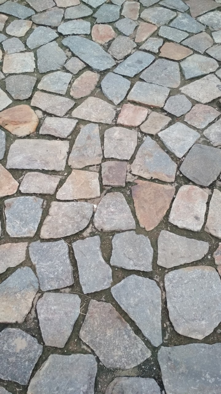 Rocks