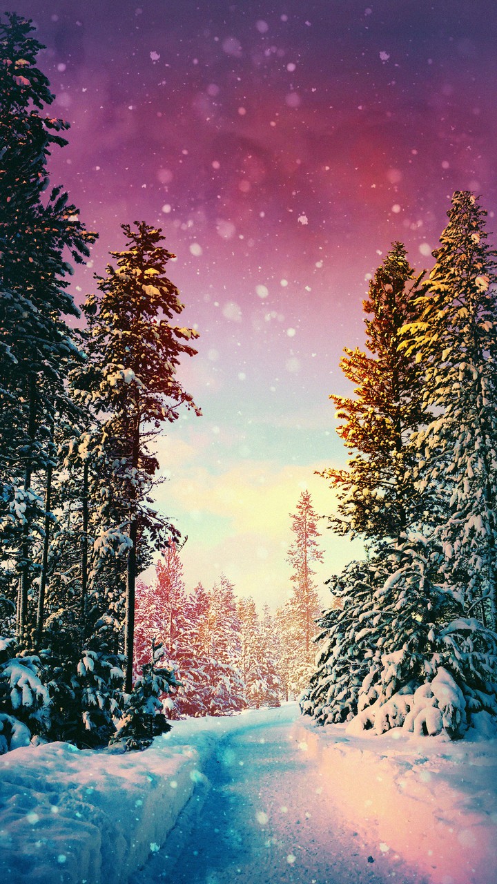 Let it Snow