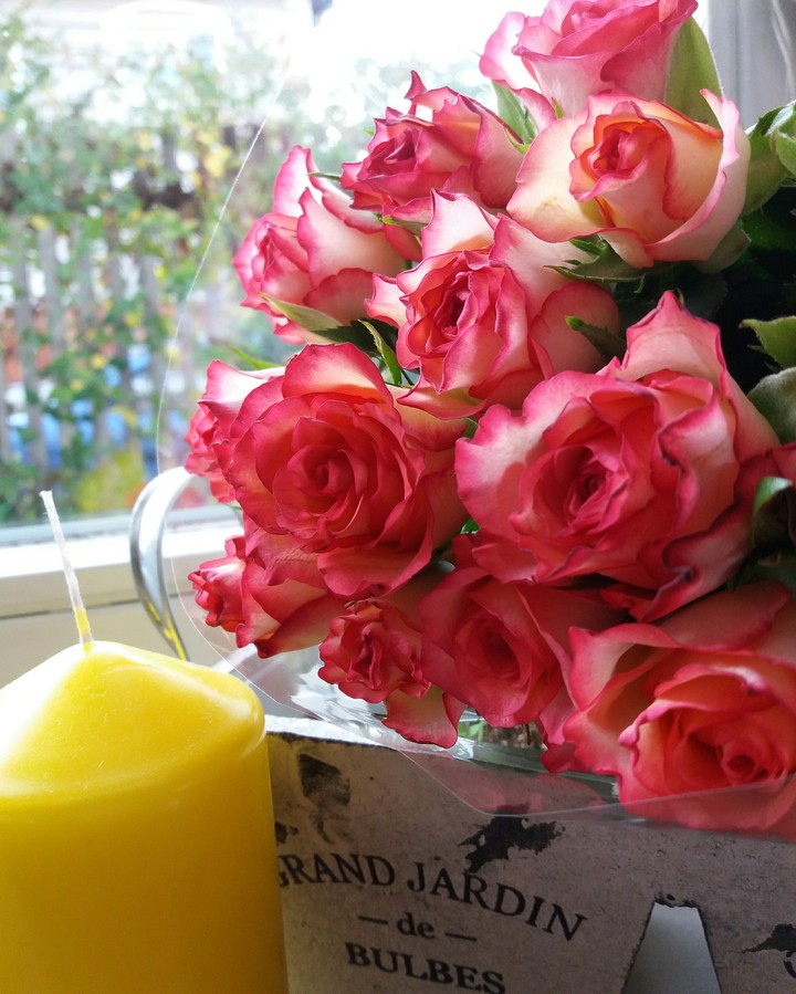 Roses to the window