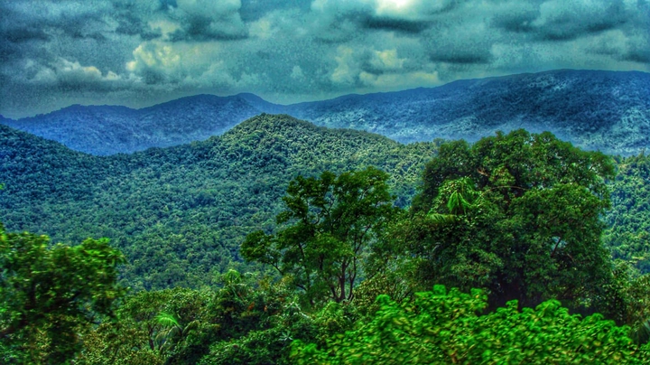 nature