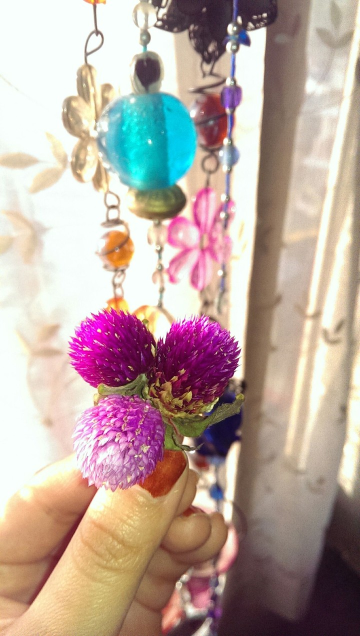 purple flowers