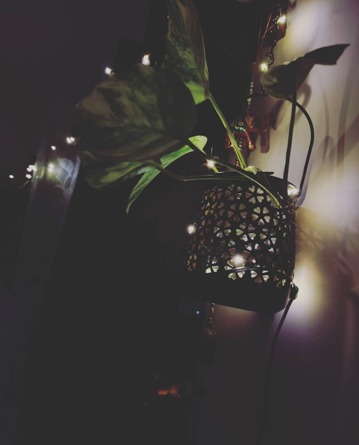 Dark