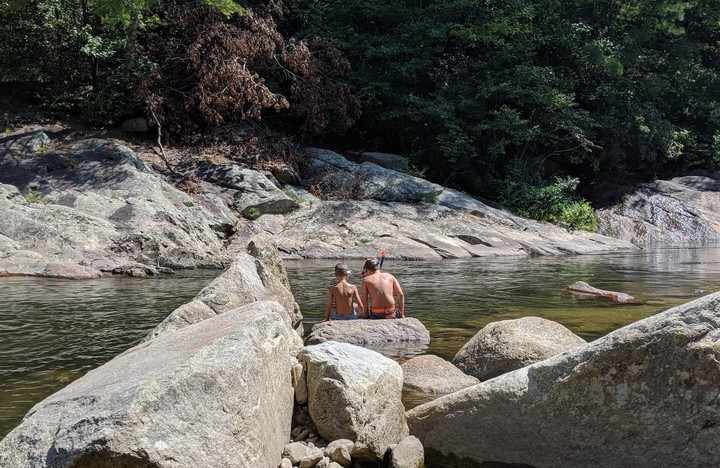 Fresh Water Life