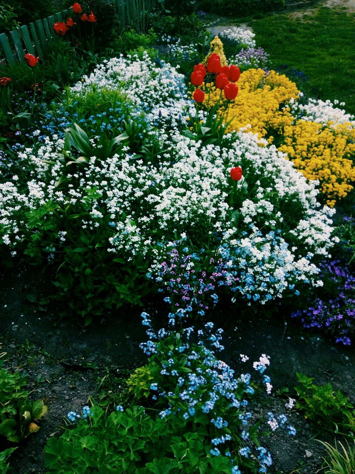 garden