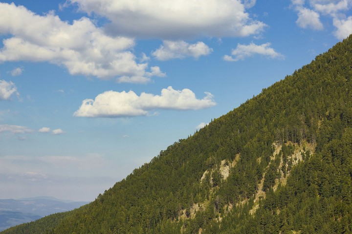 Pirin, lines