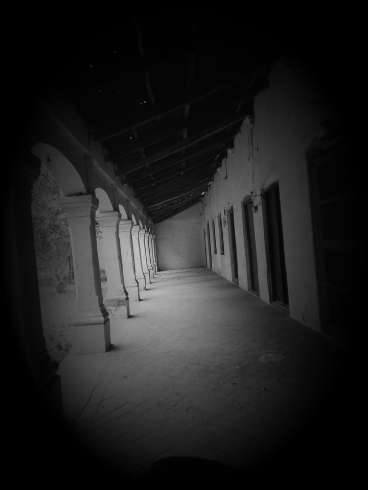 Shadow lonely