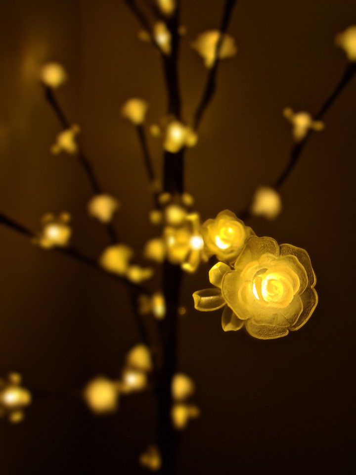 flower light