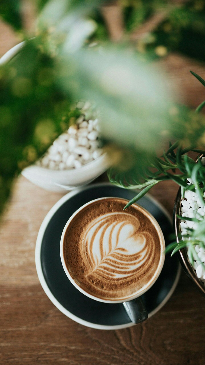 coffee