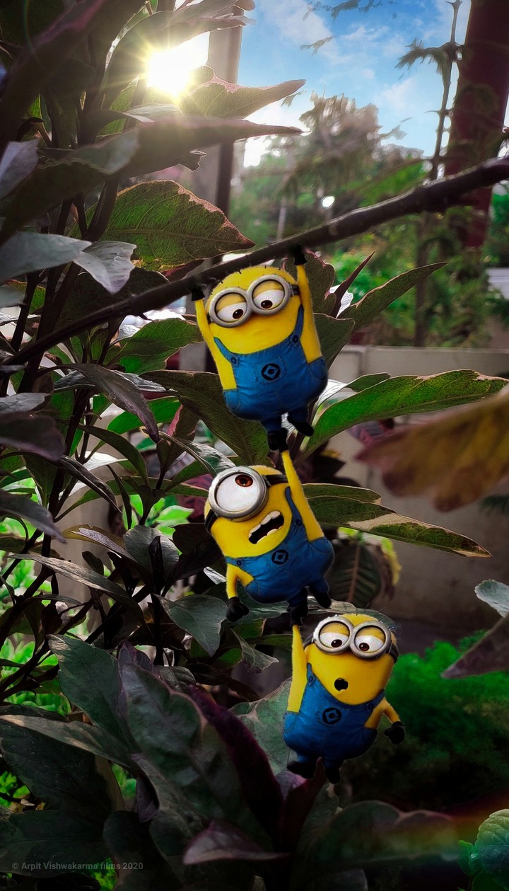 Minions