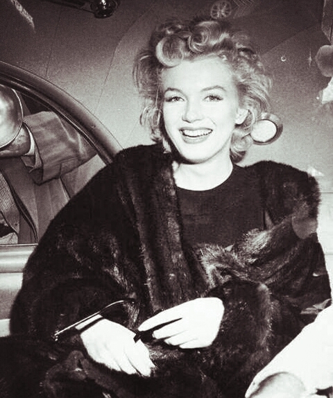 My Idole Marilyn