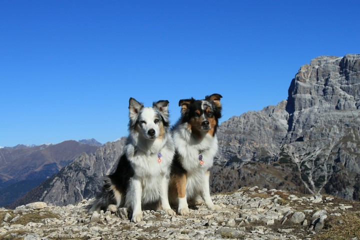 Aussies bei den drei Zinnen