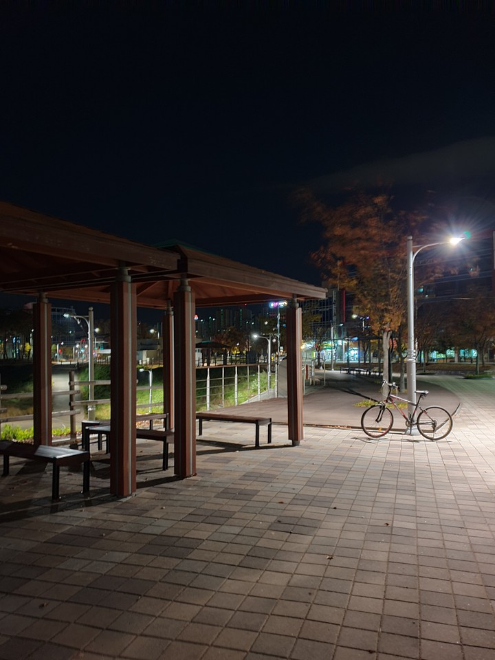 Night Park