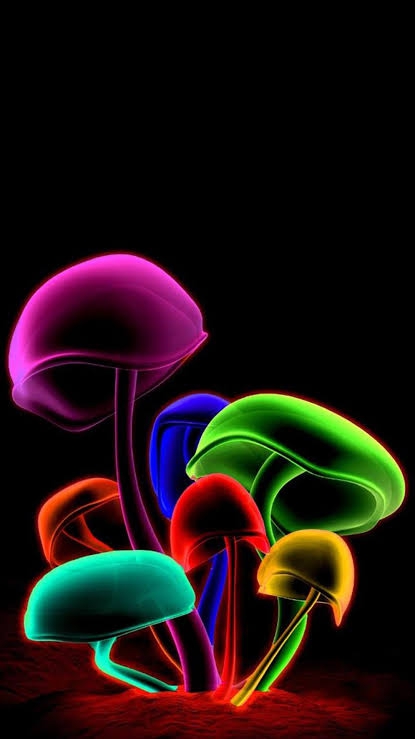 wallpaper
