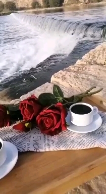 ه