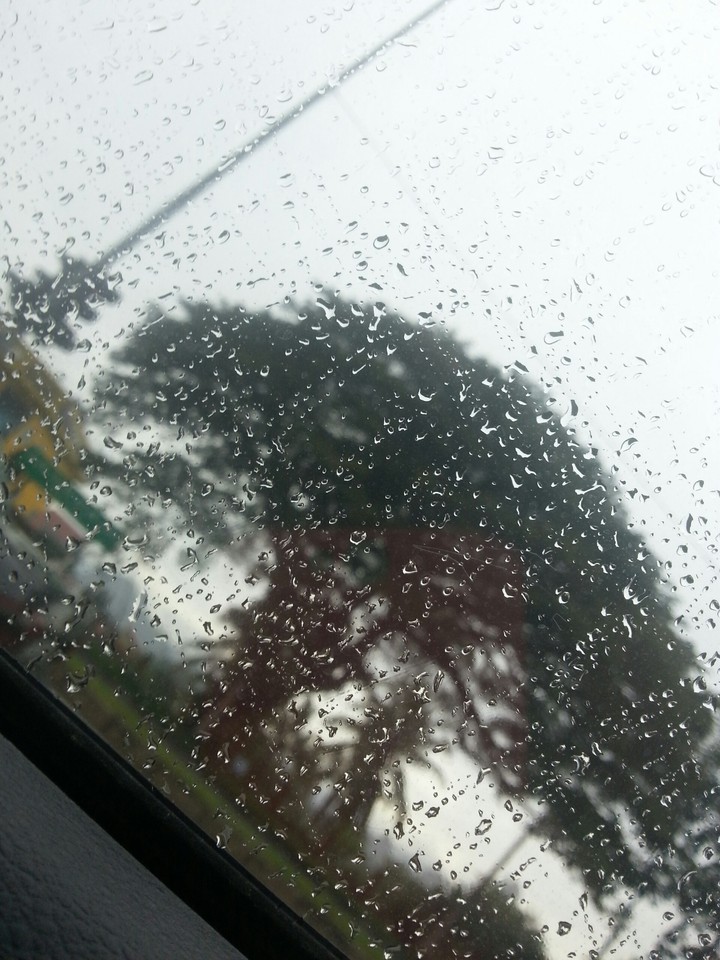 rain