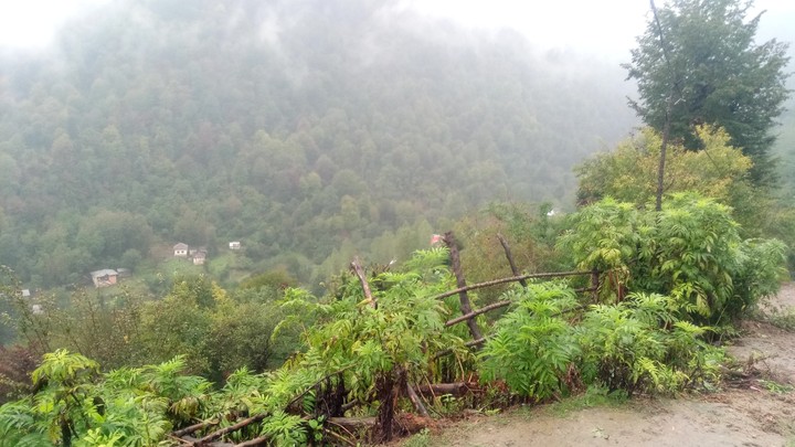 Iran, shomal