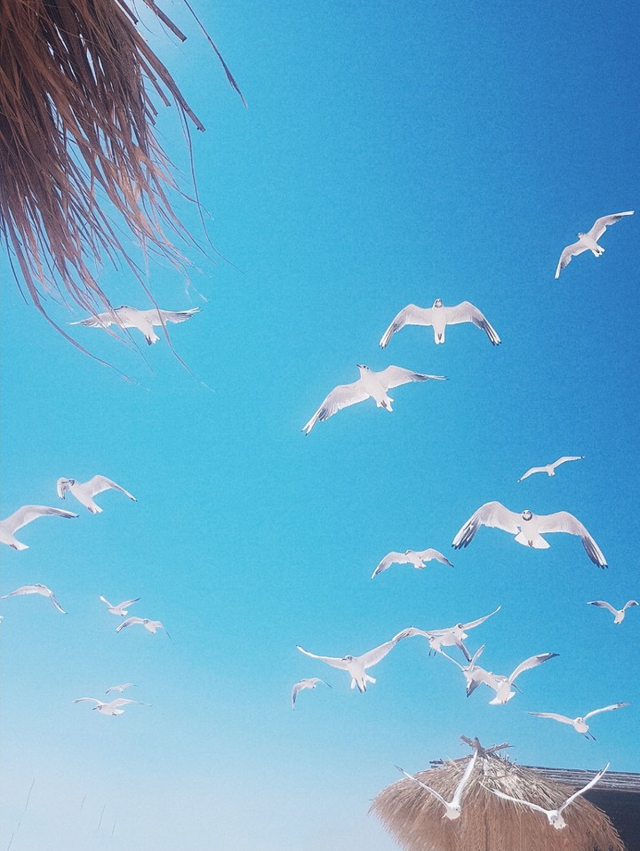 sweet summer