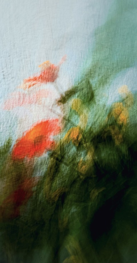 Flowers in motion