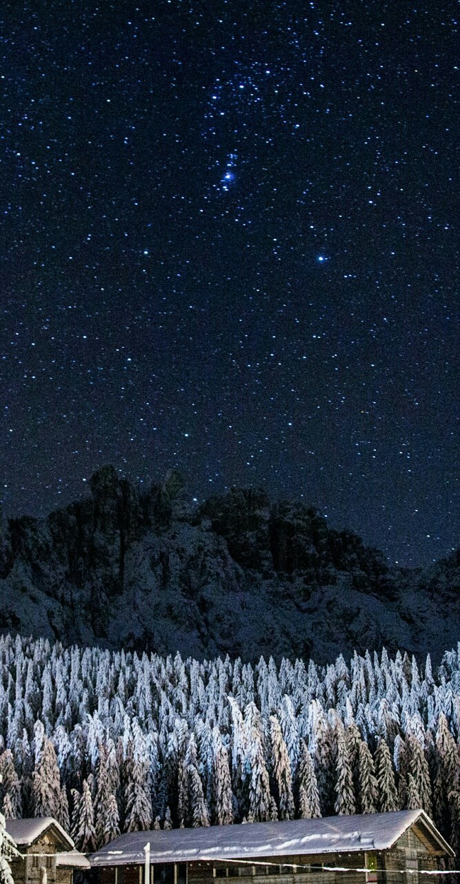 The Winter night