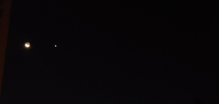 moonlight