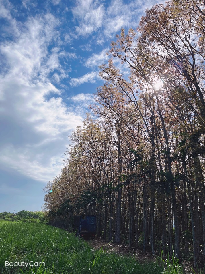 早晨風景3