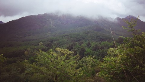 Wonder of Nature
