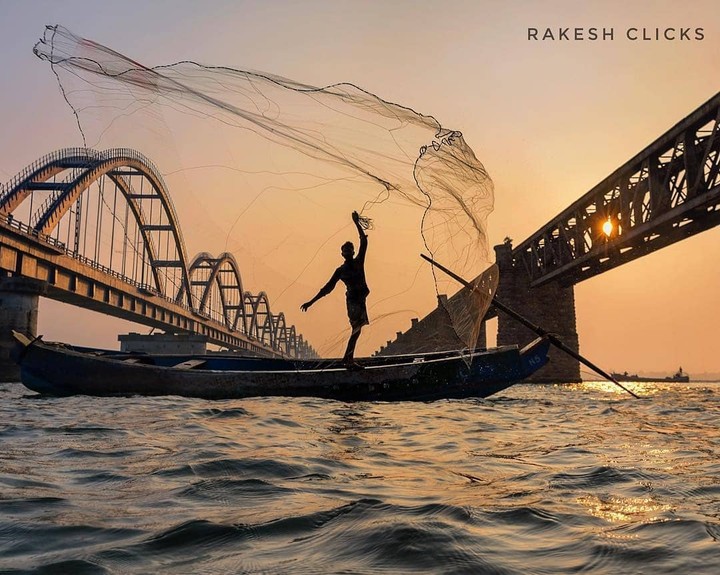 godavari bridge