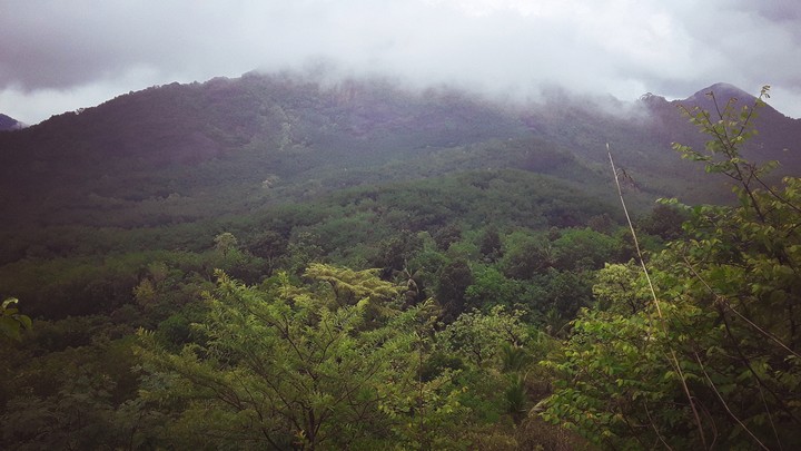 Wonder of Nature