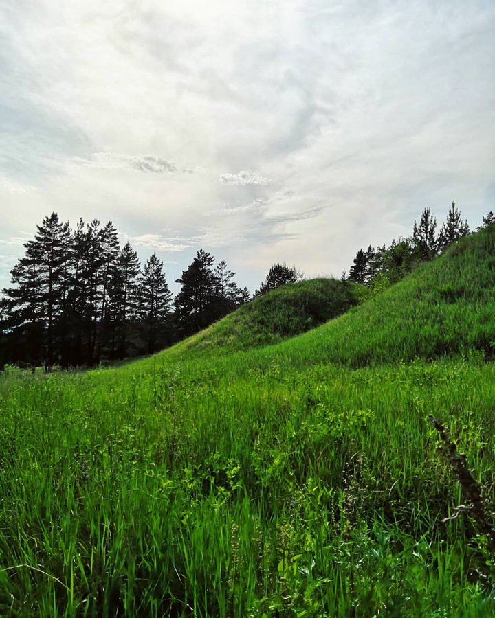 Summer hills