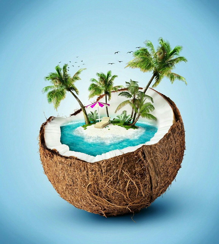 coconut