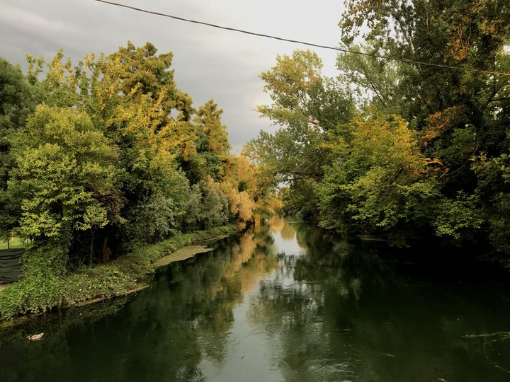 toni estivi