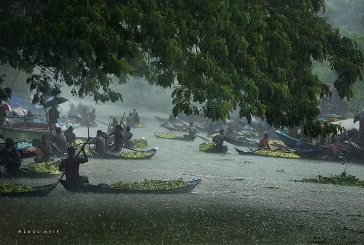floating guava market